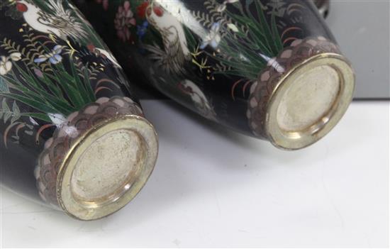 A pair of Japanese silver wire cloisonne enamel ovoid vases, Meiji period, 17.5cm, wood stands, fine cracks to one vase